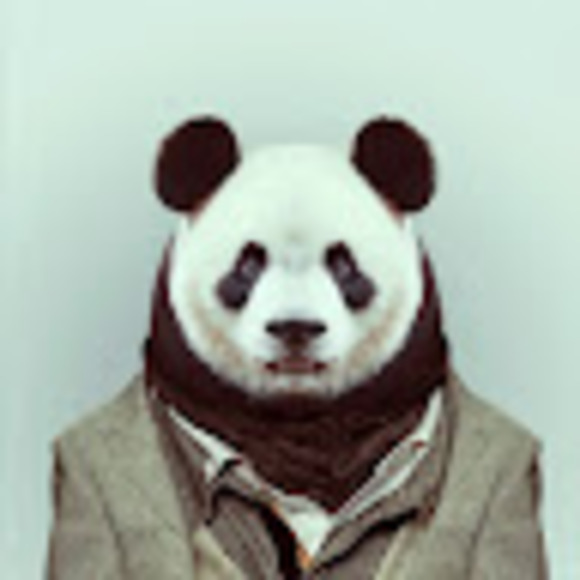 Meet your Posher, Jeremy - Picture 1 of 1